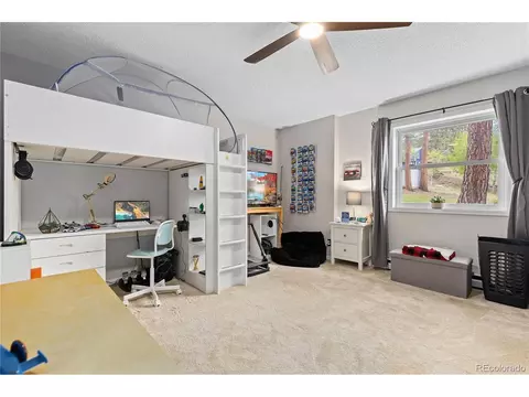 278 Overlook Dr, Bailey, CO 80421 photo 18