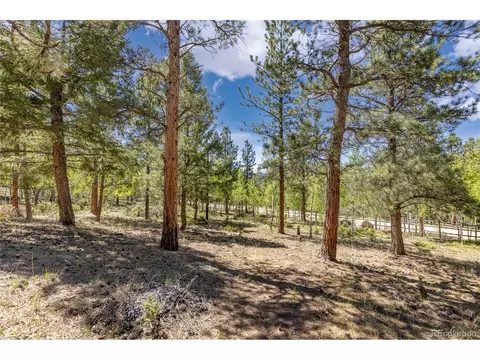 277 Rustlers Rd, Bailey, CO 80421 photo 37