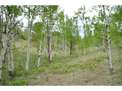 5942 County Road 1, Florissant, CO 80816