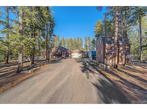 10850 Oehlmann Ave, Conifer, CO 80433