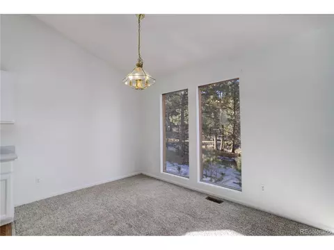 13836 S Cypress St, Pine, CO 80470 photo 14