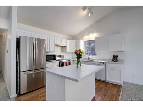 13836 S Cypress St, Pine, CO 80470 photo 8