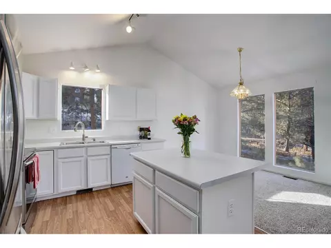 13836 S Cypress St, Pine, CO 80470 photo 9