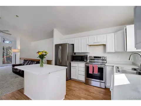 13836 S Cypress St, Pine, CO 80470 photo 10