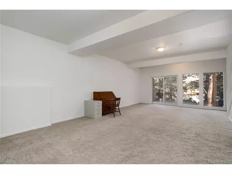 13836 S Cypress St, Pine, CO 80470 photo 30