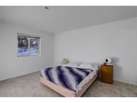 13836 S Cypress St, Pine, CO 80470 photo 22