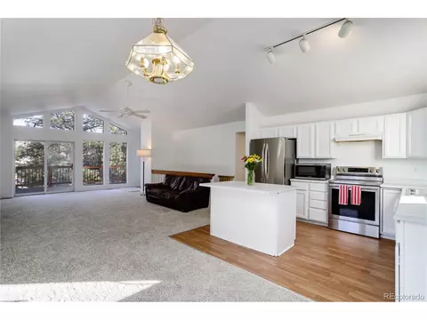 13836 S Cypress St, Pine, CO 80470 photo 7
