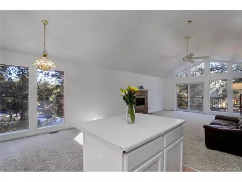 13836 S Cypress St, Pine, CO 80470 photo 12