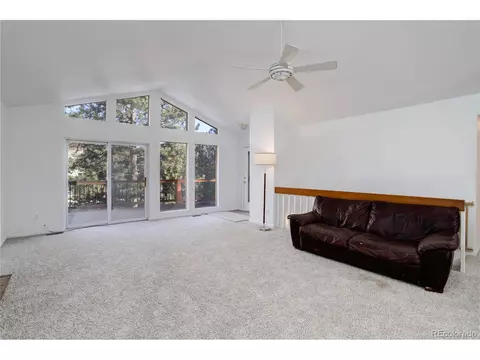 13836 S Cypress St, Pine, CO 80470 photo 11