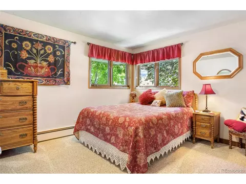 623 Wall St, Eagle, CO 81631 photo 30