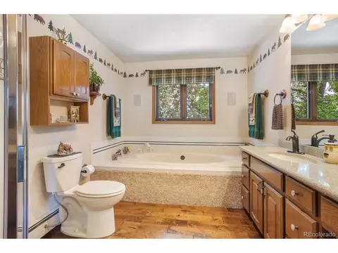 623 Wall St, Eagle, CO 81631 photo 27