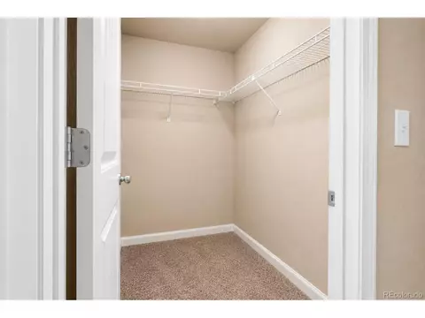 Other - 5175 Clarence Dr, Windsor, CO 80550 photo 6 of 6