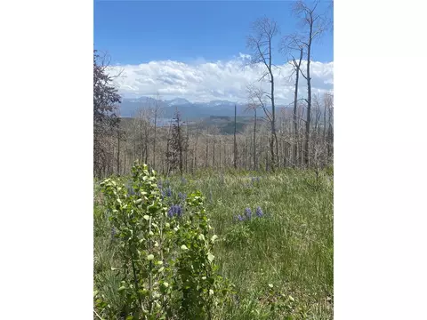 100 County Road 4110, Granby, CO 80446