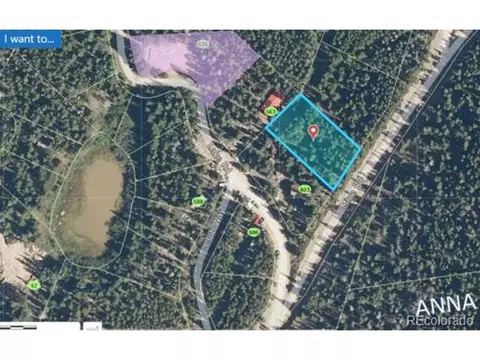 42 Mine Rd, Idaho Springs, CO 80452