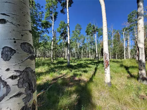 938 Georgia Pass Lookout, Jefferson, CO 80456