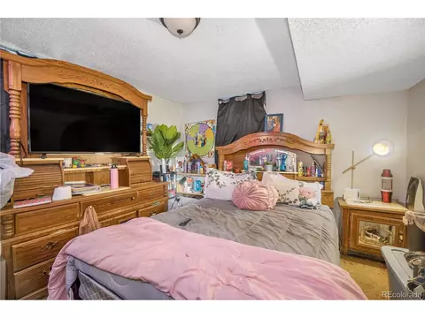 3330 E 30th Ave, Denver, CO 80205 photo 16