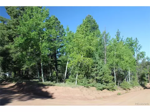 646 Pinewood Rd, Florissant, CO 80816