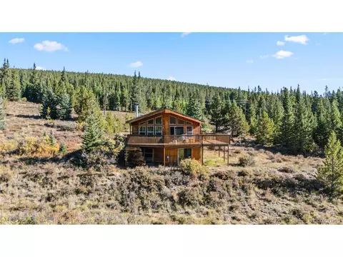 162 S Silk Sisters Pl, Fairplay, CO 80440