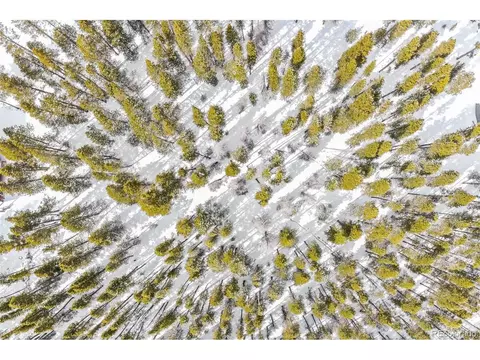 709710 Texas Dr, Idaho Springs, CO 80542