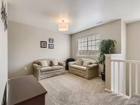 22572 E Layton Cir, Aurora, CO 80015 photo 22