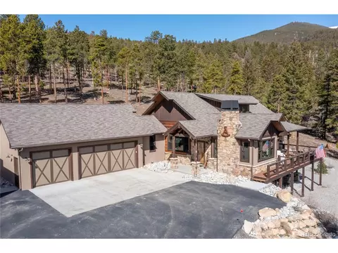 30363 National Forest Dr, Buena Vista, CO 81211