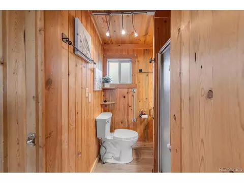 178 Gold Flake Ter, Bailey, CO 80421 photo 17