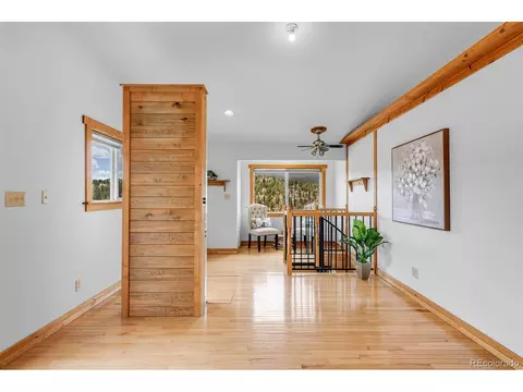 178 Gold Flake Ter, Bailey, CO 80421 photo 22