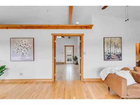 178 Gold Flake Ter, Bailey, CO 80421 photo 28