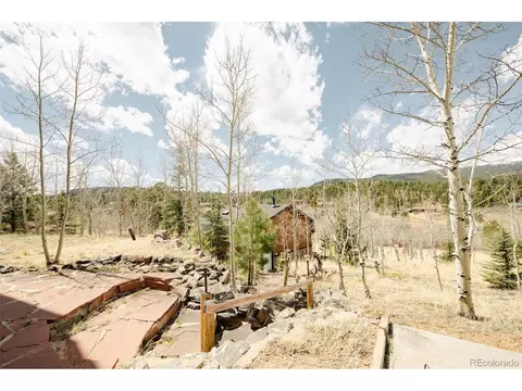 178 Gold Flake Ter, Bailey, CO 80421 photo 41
