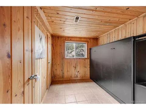 178 Gold Flake Ter, Bailey, CO 80421 photo 19