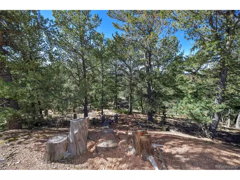 593 Paradiso Rd, Divide, CO 80814 photo 19