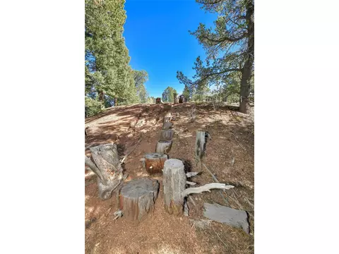 593 Paradiso Rd, Divide, CO 80814 photo 18