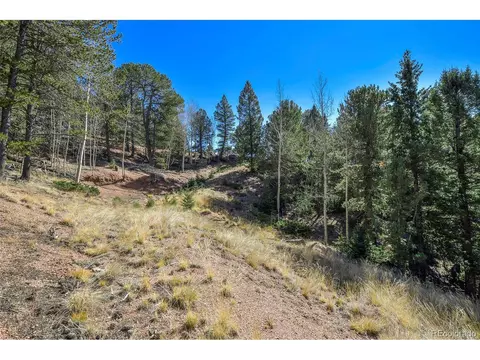 593 Paradiso Rd, Divide, CO 80814 photo 16