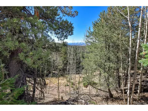 593 Paradiso Rd, Divide, CO 80814 photo 21