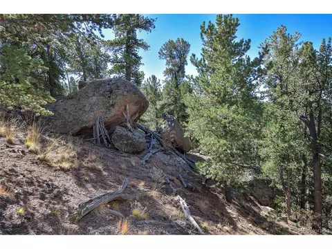 593 Paradiso Rd, Divide, CO 80814 photo 14