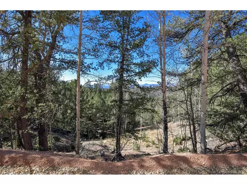 593 Paradiso Rd, Divide, CO 80814 photo 22