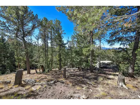 593 Paradiso Rd, Divide, CO 80814 photo 17