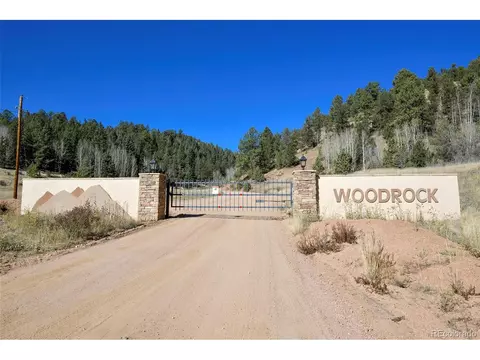593 Paradiso Rd, Divide, CO 80814 photo 10