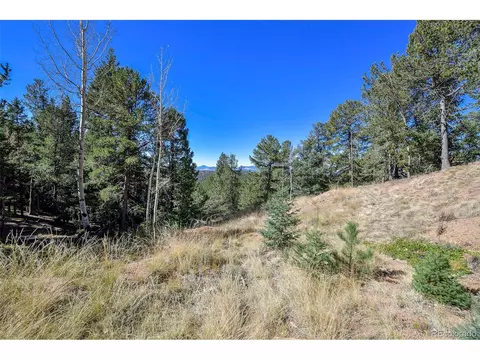 593 Paradiso Rd, Divide, CO 80814 photo 11