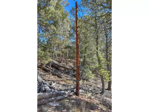 593 Paradiso Rd, Divide, CO 80814 photo 12