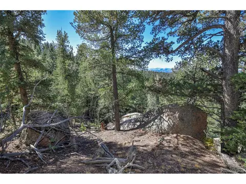 593 Paradiso Rd, Divide, CO 80814 photo 15