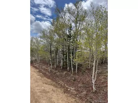 530 Gitche Goone Ln, Como, CO 80432 photo 8