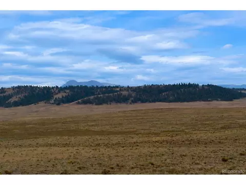 4318 Cimarron Dr, Hartsel, CO 80449 photo 4