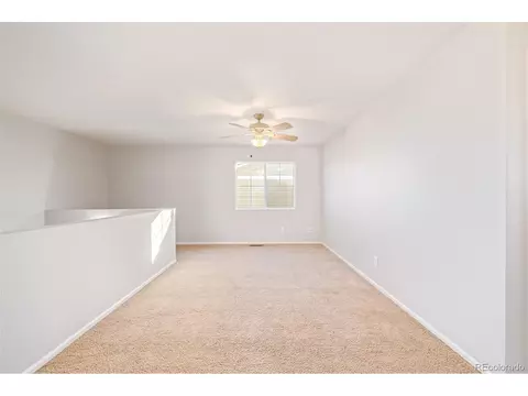 5124 Perth Ct, Denver, CO 80249 photo 23