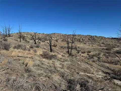 F Path And 37th Trl, Cotopaxi, CO 81223 photo 5
