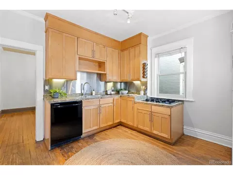 1022 E 4th Ave, Denver, CO 80218 photo 17