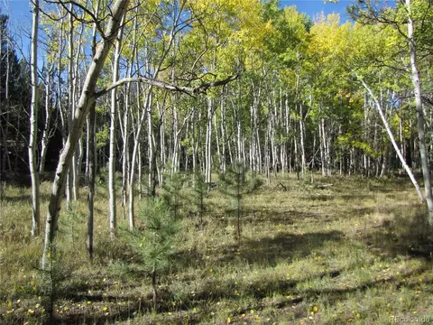 700 Campfire Rd, Hartsel, CO 80449 photo 7
