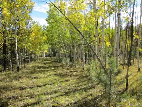 700 Campfire Rd, Hartsel, CO 80449 photo 9