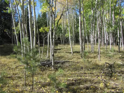 700 Campfire Rd, Hartsel, CO 80449 photo 11