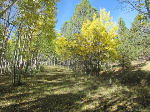 700 Campfire Rd, Hartsel, CO 80449 photo 5